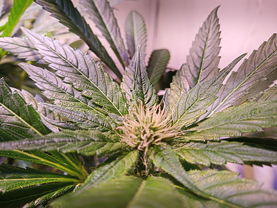Growreport Bild 12