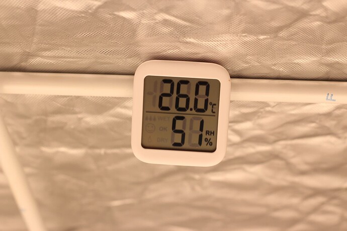 Growreport Bild 10