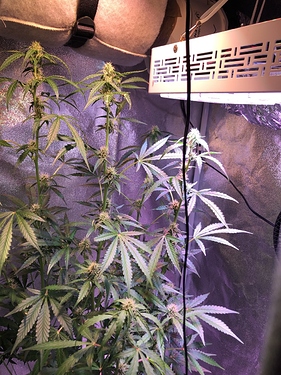 Growreport Bild 15