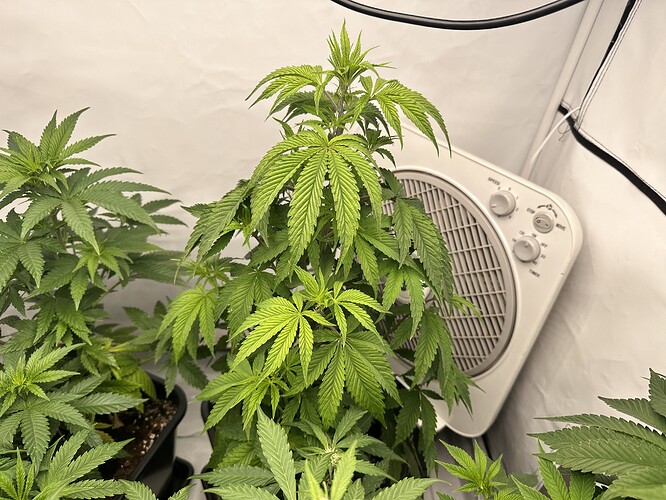 Growreport Bild 10