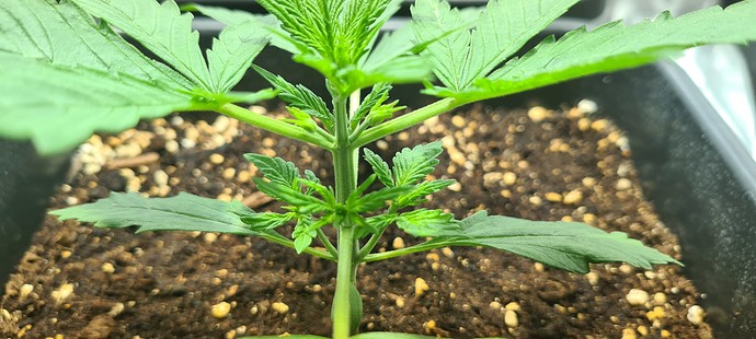 Growreport Bild 20