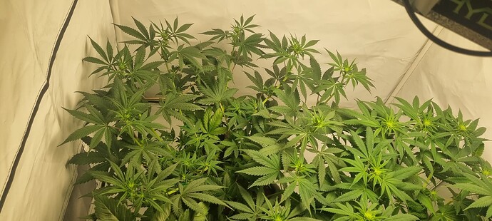 Growreport Bild 10