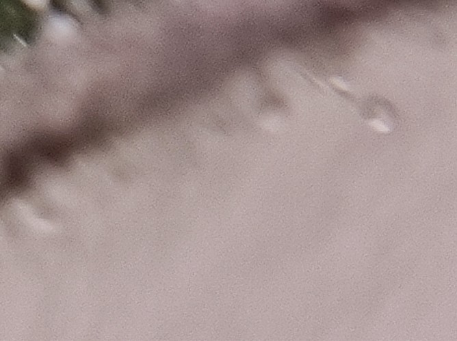 Growreport Bild 8