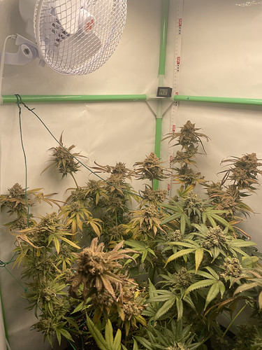 Growreport Bild 4