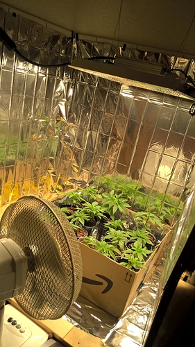 Growreport Bild 3