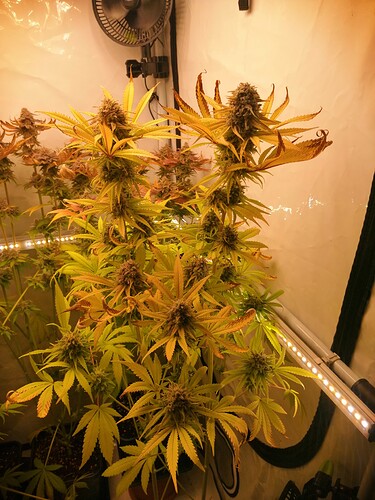 Growreport Bild 5