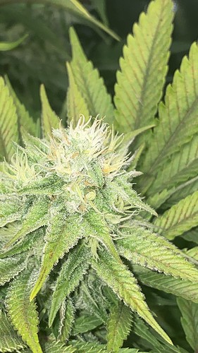 Growreport Bild 10