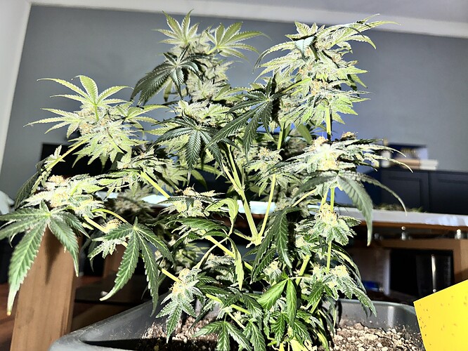 Growreport Bild 15