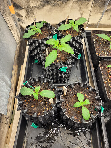 Growreport Bild 12