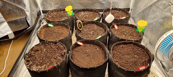 Growreport Bild 32
