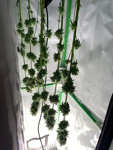Growreport Bild 2