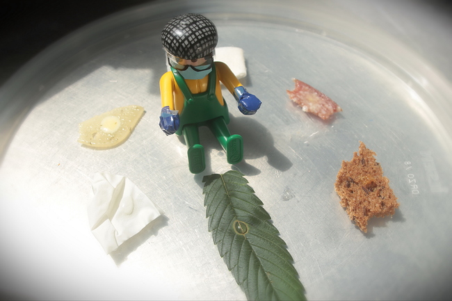 Growreport Bild 6