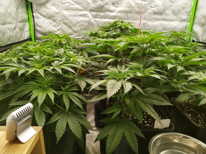 Growreport Bild 3