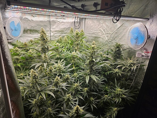 Growreport Bild 25