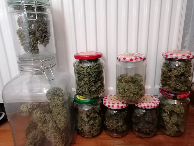 Growreport Bild 1