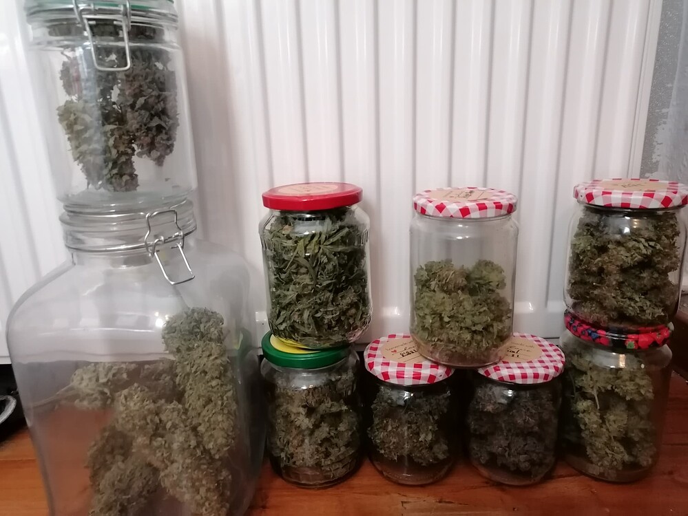 Smokys alles kann, nix muss Grow (Beendet)