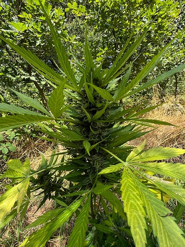 Growreport Bild 14