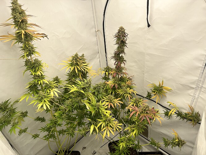 Growreport Bild 17
