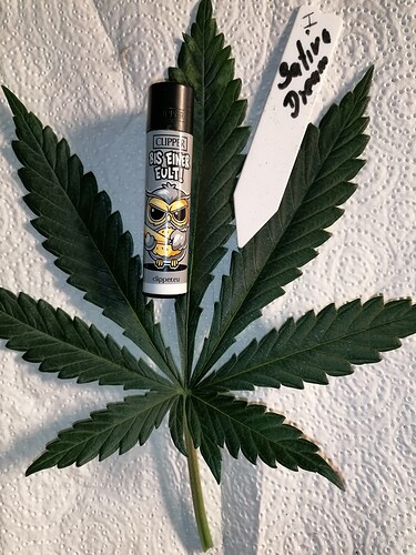 Growreport Bild 9
