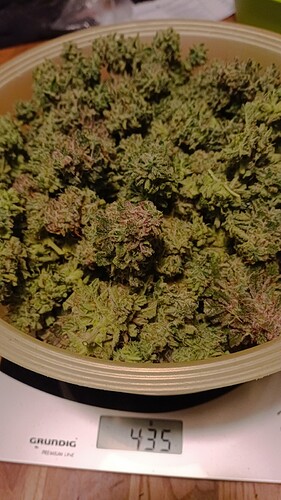 Growreport Bild 20
