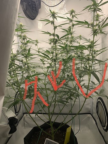Growreport Bild 15