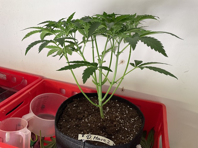 Growreport Bild 13