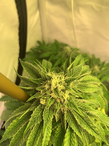 Growreport Bild 5