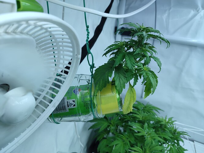 Growreport Bild 26