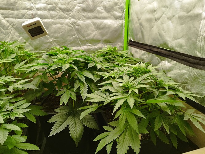 Growreport Bild 16