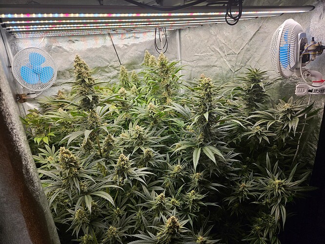 Growreport Bild 47