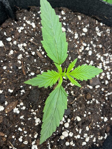 Growreport Bild 17