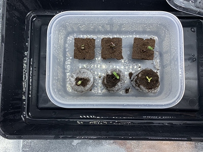 Growreport Bild 20
