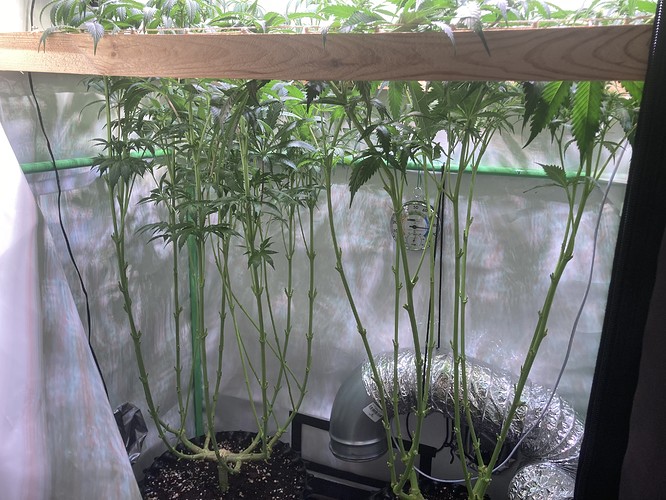 Growreport Bild 2