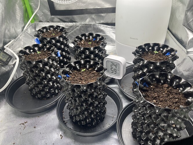 Growreport Bild 12