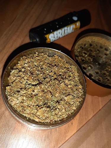 Growreport Bild 10