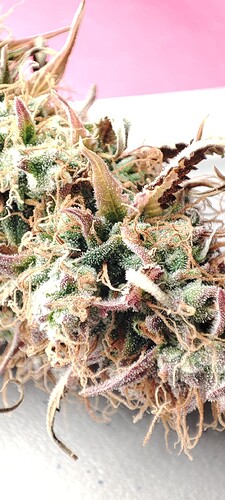 Growreport Bild 13