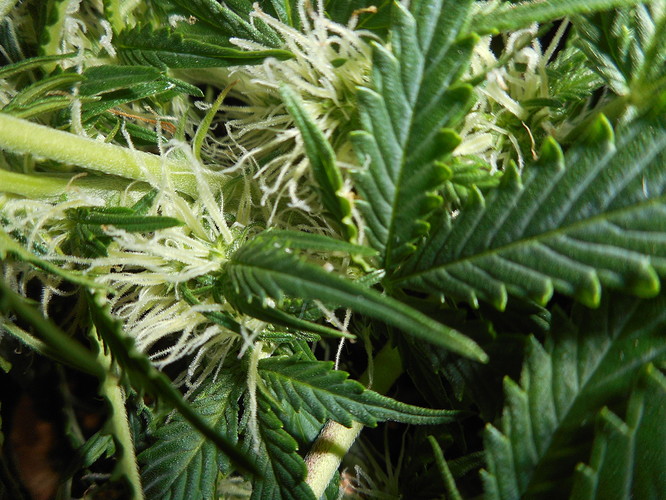 Growreport Bild 9