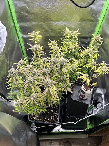 Growreport Bild 10