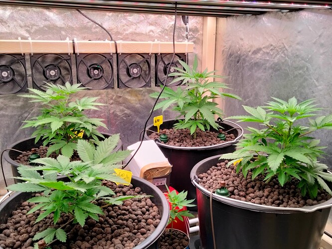 Growreport Bild 6