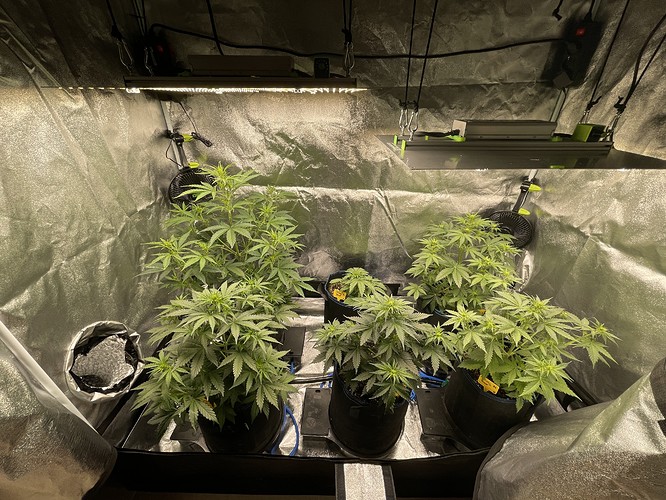 20211022_090653648_iOS