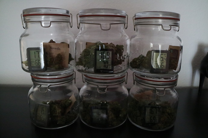 Growreport Bild 1
