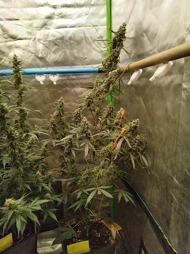 Growreport Bild 18