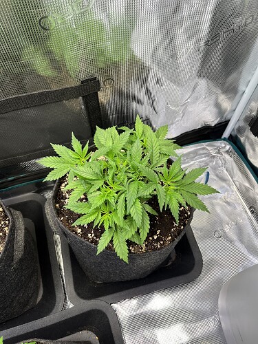 Growreport Bild 9