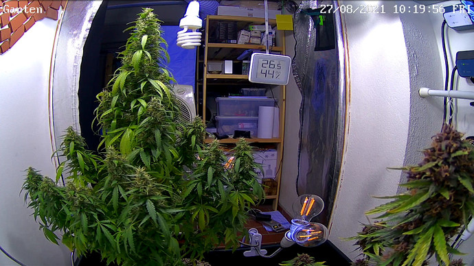 Growreport Bild 1