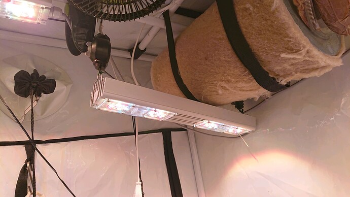 Growreport Bild 13