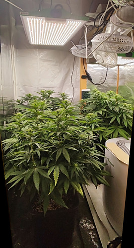 Growreport Bild 2
