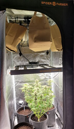 Growreport Bild 6