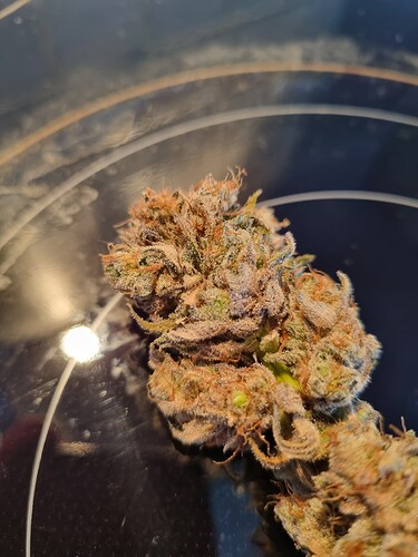 Growreport Bild 3