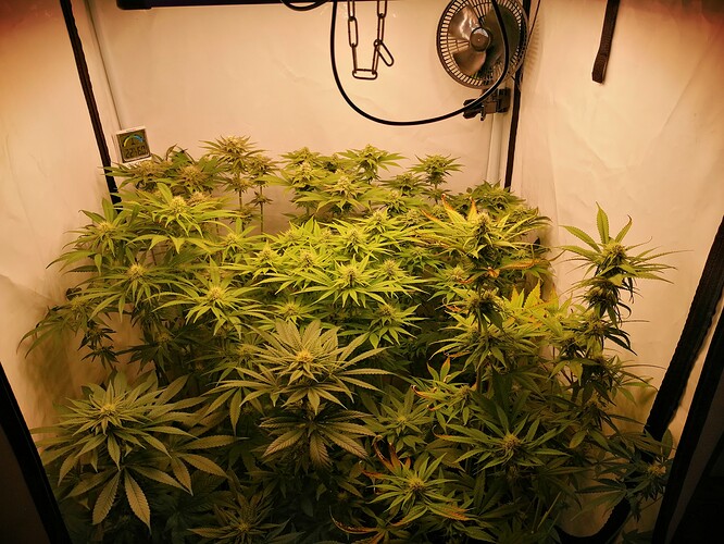 Growreport Bild 4