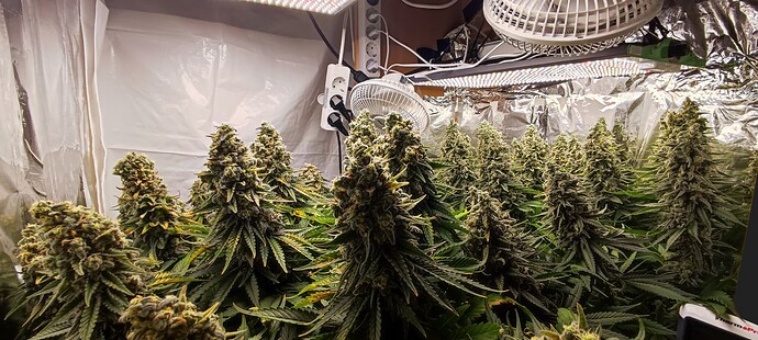 Growreport Bild 17